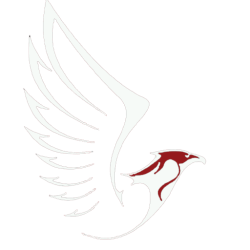 logo falcon_3_BIANCO_1